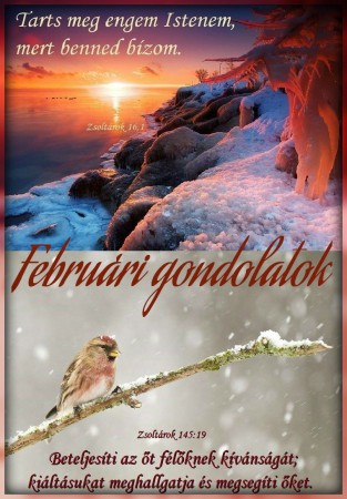 2017 - február hónap gondolatai